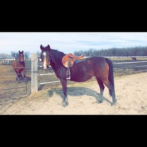 Meet your Posher, Carleen